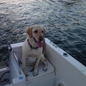 Meet your Posher, Maren